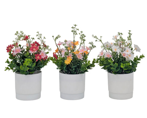 Artificial Daisy Flower Pot 25cm 3 Asst In Australia - Darrahopens