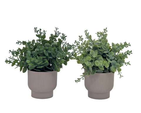 Bulk 24 Artificial Eucalyptus In Pot 24cm 2 Asst In Australia - Darrahopens