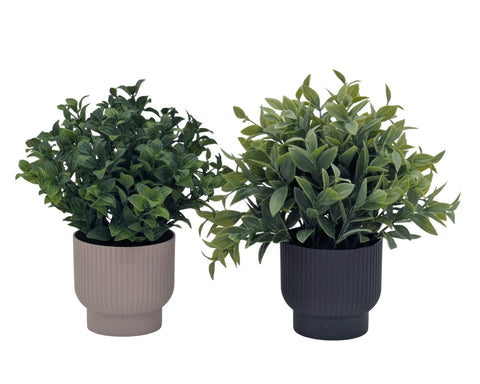 Bulk 24 Artificial Greenery In Pot 24cm 2 Asst In Australia - Darrahopens