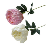 Bulk 24 Artificial Peony Stem 2 Asst In Australia - Darrahopens