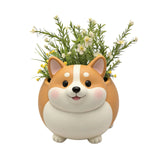 Bulk 2 Resin Corgi Planter 32x23x26cm In Australia - Darrahopens