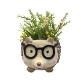 Bulk 2 Resin Hedgehog Planter 33x26x21cm In Australia - Darrahopens