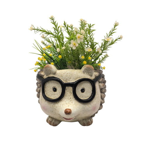 Bulk 2 Resin Hedgehog Planter 33x26x21cm In Australia - Darrahopens