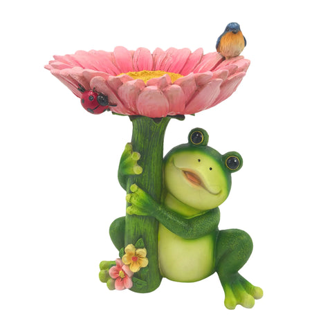 Bulk 4 Polyresin Garden Frog Birdfeeder In Australia - Darrahopens