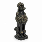 Taj the Poodle Bronze In Australia - Darrahopens