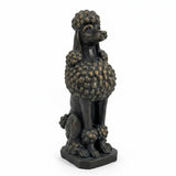 Taj the Poodle Bronze In Australia - Darrahopens