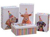 Bulk 2 Party Animal Gift Box Set 18 43x34x16cm 4 Asst In Australia - Darrahopens