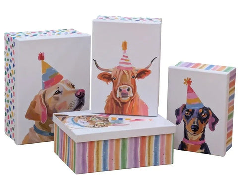 Bulk 2 Party Animal Gift Box Set 18 43x34x16cm 4 Asst In Australia - Darrahopens
