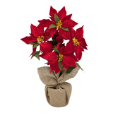 Xmas Poinsettia In Hessian Pot 48cm In Australia - Darrahopens