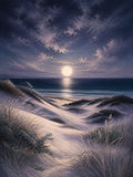 Moonlit Dunes Floating Frame Canvas Wall Art - Portrait - 60W x 120H cm - Natural Birch In Australia - Darrahopens