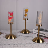 Daisy Eternal Flower Acrylic Table Lamp - Color-Changing LED, USB Rechargeable, Touch Control