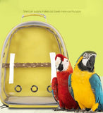 Black Stylish Transparent PVC Pet Carrier Backpack - Large Capacity, Multi-Use for Birds & Cats(Including Wooden Stick)