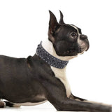 Size L Pink 1 pack Stylish PU Leather Dog Collar with Spikes - Adjustable, Durable & Comfortable for Medium to Large Breeds