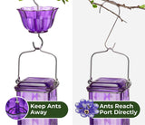 Elegant Hanging Hummingbird Feeder - Decorative Glass Nectar Bottle with Ant Moat, 6 Feeding Ports(Blue)