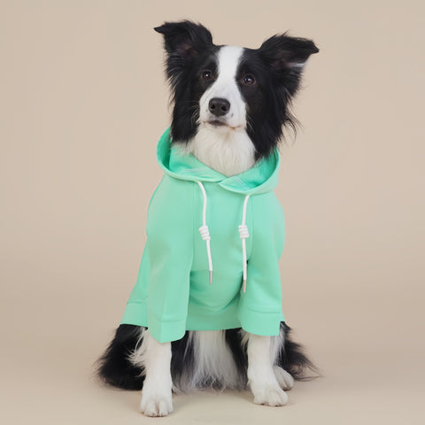 Green Classic Dog Sweatshirt with Hood & Drawstrings - For Large Dogs (Size : 3XL)