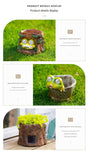 Frog Solar Light Planter - Resin Succulent Pot with Glowing Eyes (stone basin frog)