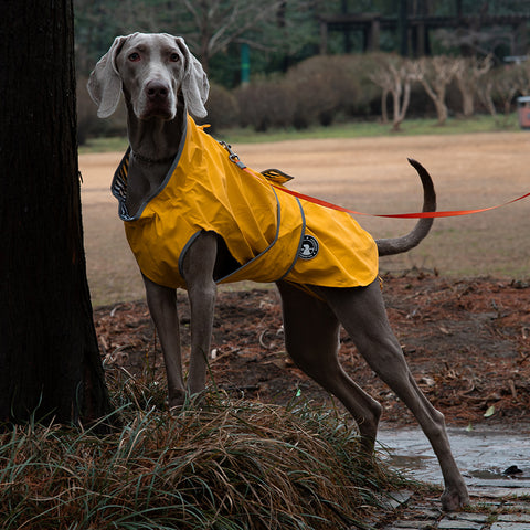 50# Yellow Waterproof Reflective Dog Raincoat for Small to Large Dogs