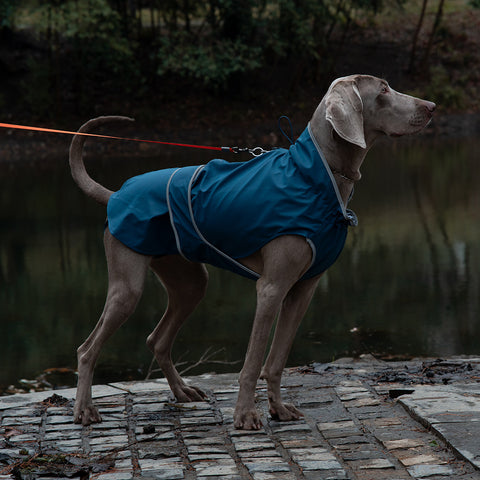 60# Blue Waterproof Reflective Dog Raincoat for Small to Large Dogs