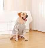 Autumn/Winter Dog Clothes - Grey Hoodie with Striped Hood & Baseball Bear (Size - M)