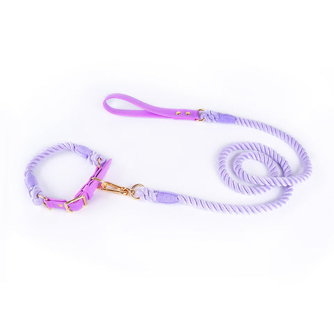 Premium Leather Pet Collar and Leash - Soft, Strong Braided Rope (Purple - Size M)