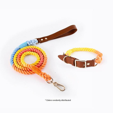 Premium Leather Pet Collar and Leash - Soft, Strong Braided Rope (Iridescent Red - Size L)