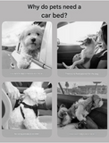 Grey Plush Dog Car Booster Seat - 2-in-1 Travel Bed for Small Dogs with Washable Cover