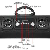 Portable Wireless Speaker - FM Radio, USB/TF Playback, AUX Input, Microphone Support & 2000mAh Battery(black)