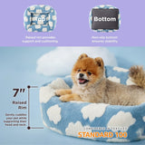 50x48x15 CM Cute Square Plush Pet Bed with Removable Cover & 5 Bolsters Support - Green Daisies Machine Washable Calming Dog & Cat Sofa