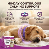 Colorful Pet Calming Collar 4 Pack (63cm) - Waterproof Silicone Dog Collar Custom Fit for All Breeds - Anxiety Relief & Stress Reduction