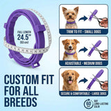 Colorful Pet Calming Collar 4 Pack (63cm) - Waterproof Silicone Dog Collar Custom Fit for All Breeds - Anxiety Relief & Stress Reduction