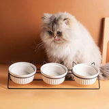 Triple Slanted Ceramic Pet Bowl Set with Elevated Iron Stand and Non Slip Base - 3 x 300ML Versatile Pink Cat Paw Print Pattern Dishes for Water & Food