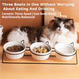 Triple Slanted Ceramic Pet Bowl Set with Elevated Iron Stand and Non Slip Base - 3 x 300ML Versatile Black Cat Paw Print Pattern Dishes for Water & Food