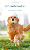 Yellow and Blue Squeaky Bone Durable TPR Dog Chew Toys Set -  for Teeth Cleaning - Non-Toxic, Bite-Resistant, Easy Clean - Interactive Play for Medium to Large Dogs