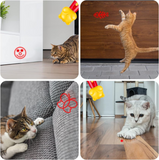 Yellow Bear Laser Cat Toy Set - 2 Piece USB Rechargeable Multi Pattern Laser Pointer with UV and White Light for Cats
