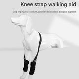 L  Size Dog Knee Brace and Leg Support Sleeve - Protective Wrap, Lightweight Anti Licking Cover for Walking and Supervised Daily Pet Care