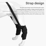 L  Size Dog Knee Brace and Leg Support Sleeve - Protective Wrap, Lightweight Anti Licking Cover for Walking and Supervised Daily Pet Care