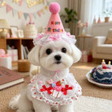 Size L Pink Pet Birthday Party Supplies Strawberry Cake Bib and Hat Set Cat Dog Costume Photo Shoot Outfit