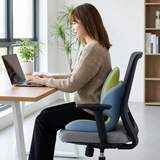 Blue Ergonomic Memory Foam Seat Cushion with Lumbar Support - Integrated Backrest Design, Breathable Hollow Core for Office and Car Use In Australia - Darrahopens