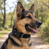 Black Tactical Dog Collar for Large Dogs (L size)- Wide Padded Nylon Collar with Quick Release Metal Buckle, Control Handle and D-Ring for Walking and Training