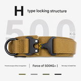 Green Tactical Dog Collar for Large Dogs (M size)- Wide Padded Nylon Collar with Quick Release Metal Buckle, Control Handle and D-Ring for Walking and Training