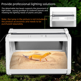 White Desktop Reptile Terrarium Enclosure 35X25.5X22cm with Double Door Opening and Ventilation for Small Reptiles, Amphibians and Plants