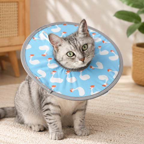 Blue Duck Soft Waterproof Elizabethan Collar for Cats & Dogs S Size - Adjustable Anti-Licking Recovery Cone After Surgery In Australia - Darrahopens