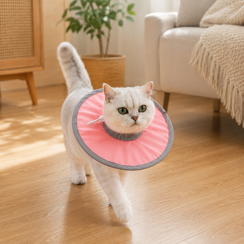 Pure Pink Soft Waterproof Elizabethan Collar for Cats & Dogs M Size - Adjustable Anti-Licking Recovery Cone After Surgery Soft Waterproof Elizabethan Collar for Cats & Dogs M Size - Adjustable Anti-Licking Recovery Cone After Surgery