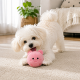 2-Piece Pink Pig Squeaky Ball Dog Toy Set with TPR Thorn Ball Inside - Soft Plush Pet Chew Toys for Dogs & Cats In Australia - Darrahopens