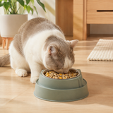 Green Stainless Steel Cat Food Bowl with Cat Face Design Raised Pet Feeding Bowl In Australia - Darrahopens