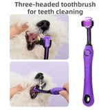 Pet Grooming & Cleaning Kit 9 Piece Set with Shedding Brush, Steel Comb + Scissors, Nail Clippers + File, Bath Brush + Massage Glove, 3 Head Toothbrush and Storage Bag for Dog & Cat