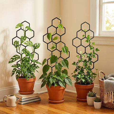 3 Pack Indoor Plant Climbing Trellis Set - Lightweight Honeycomb Garden Support Stakes, No Assembly Required for Potted Plants, Ivy, Monstera & Vines (38 x 15 cm)