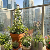 3 Pack Indoor Plant Climbing Trellis Set - Lightweight Honeycomb Garden Support Stakes, No Assembly Required for Potted Plants, Ivy, Monstera & Vines (38 x 15 cm)