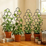 5 Pack Indoor Plant Climbing Trellis Set - Lightweight Honeycomb Garden Support Stakes, No Assembly Required for Potted Plants, Ivy, Monstera & Vines (38 x 15 cm)