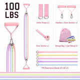 Women's Multifunctional 100 lbs Resistance Band Set with Storage Bag, Foam Handles and Ankle Straps for Home Fitness & Pilates Workout (Pink Macaron Carabiners Style) In Australia - Darrahopens